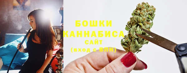 мдпв Тында