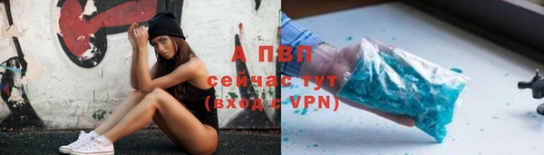 гидра Арсеньев