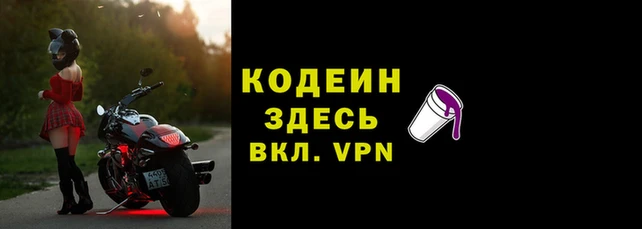 гидра Арсеньев