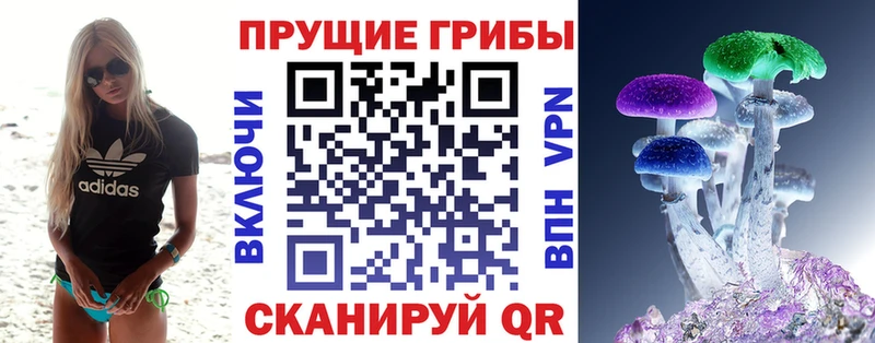 Галлюциногенные грибы Psilocybine cubensis  Партизанск 